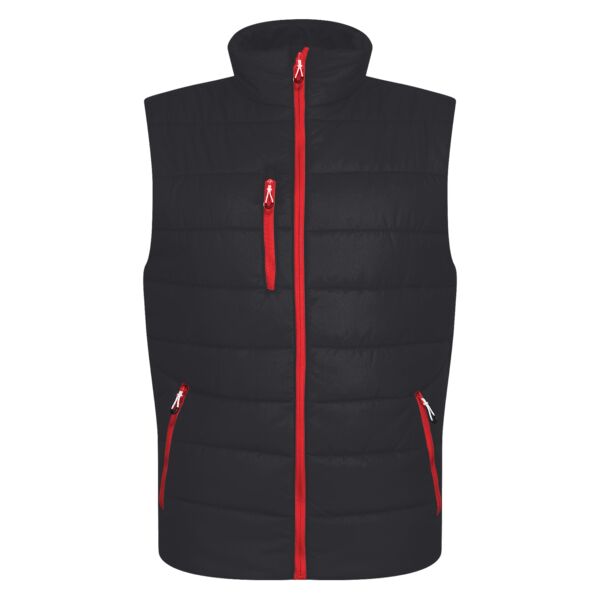 Navigate thermal bodywarmer Vignette