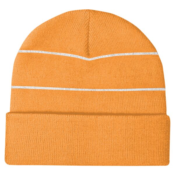Enhanced-viz beanie Vignette