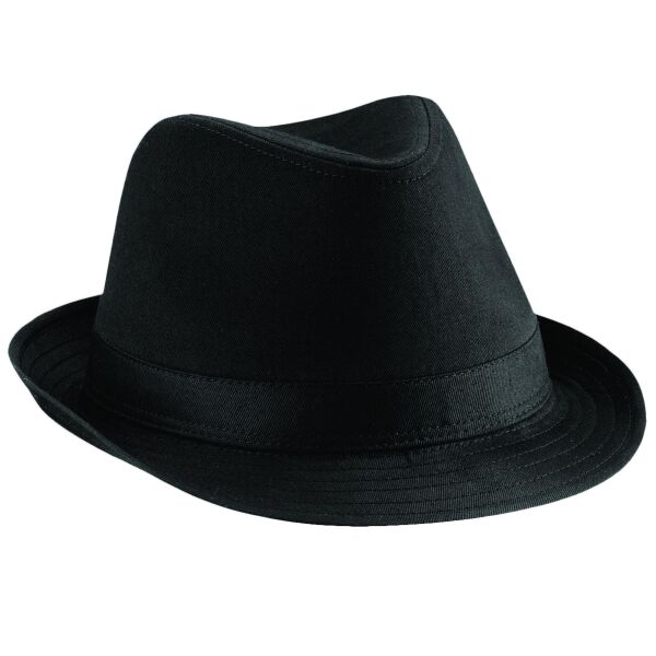Fedora Vignette