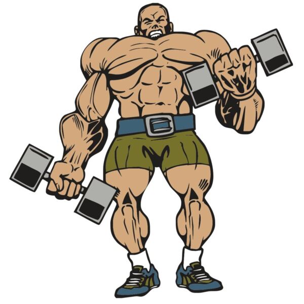 AR WEIGHTS 53 RC Vignette