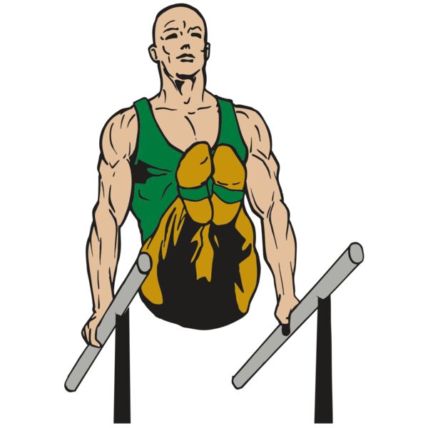 AR GYM 15 R Vignette