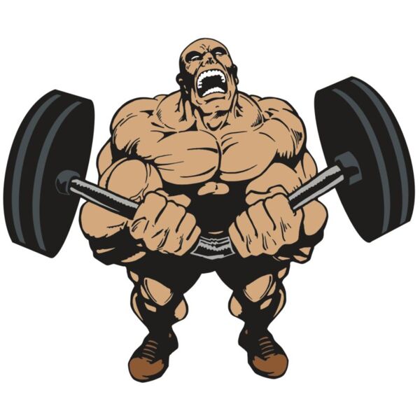 AR WEIGHTS 54 RC Vignette