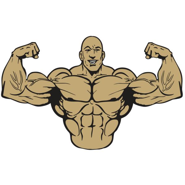 AR WEIGHTS 16 RQC Vignette