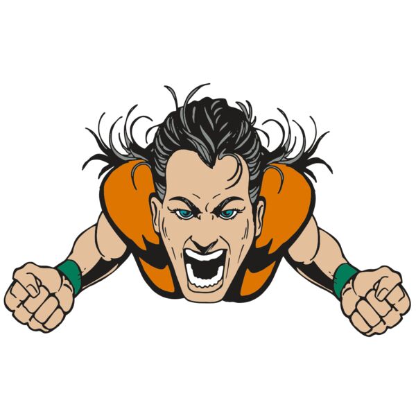 AR ATTITUDE 25 RQC Vignette