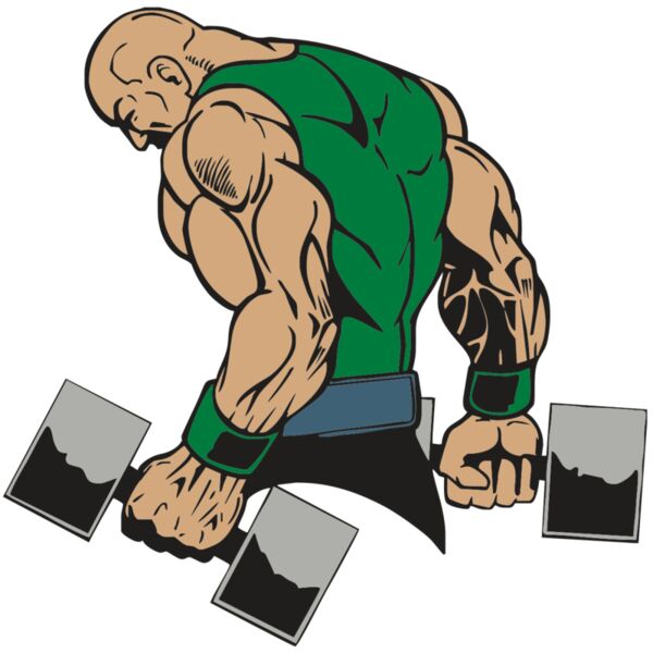 AR WEIGHTS 57 RQC Vignette