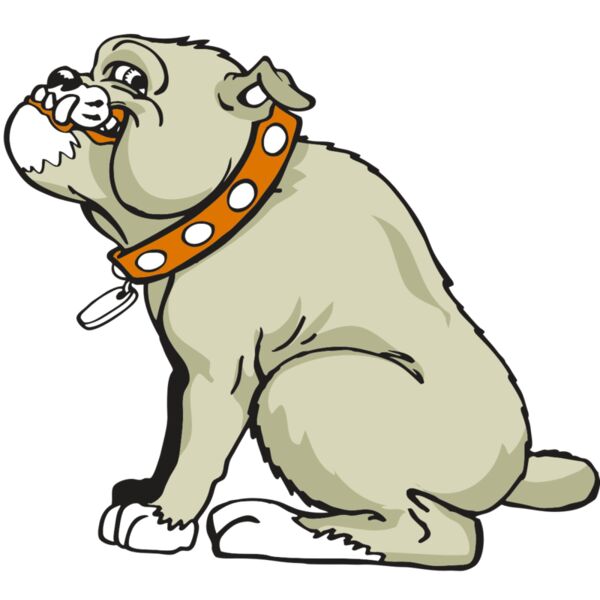 AR BDOG 26 RC Vignette