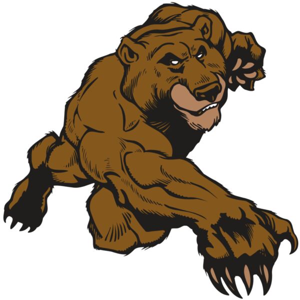 AR BEAR 29 RC Vignette