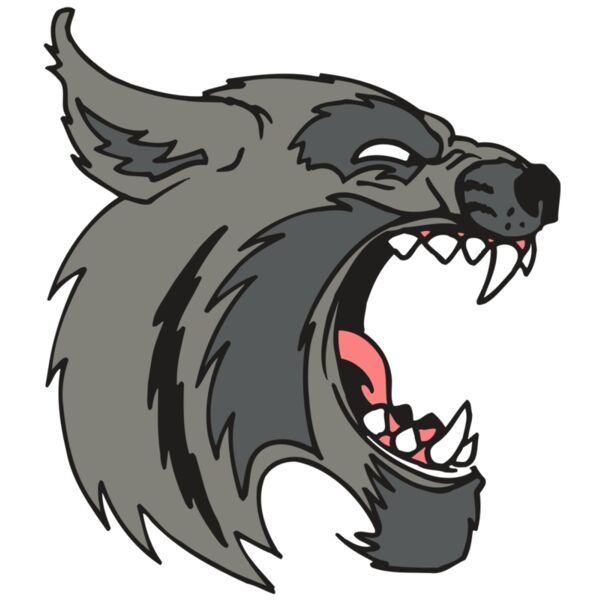 AR5 BOBCAT 08 RQC Vignette