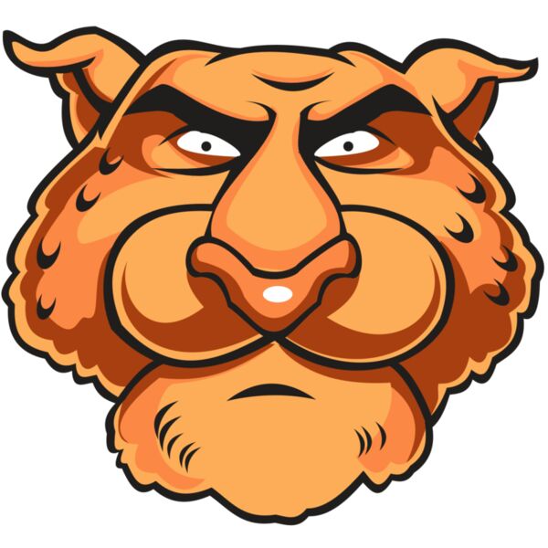 CHEETAH HD0501 RQC Vignette