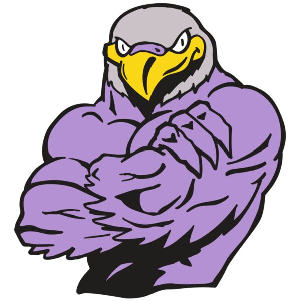 AR FALCON 32 RC Vignette