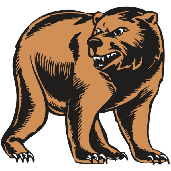 BAW BEAR 09 RC Vignette