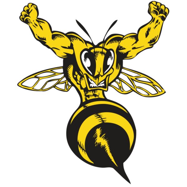 BAW BEE 04 RC Vignette