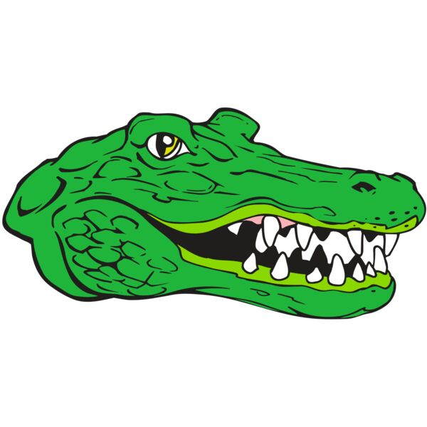 AR GATOR 23 RQC Vignette