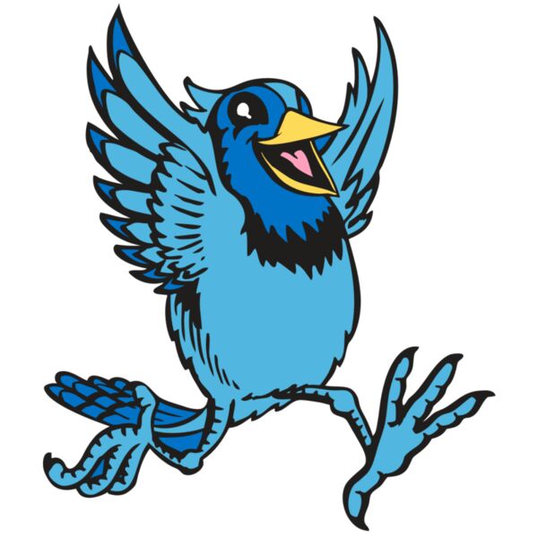 BAW BLUEJAY 09 RC Vignette