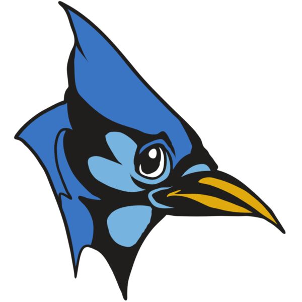 AR31 BLUEJAY 03 RQC Vignette