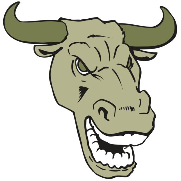 AR BULL 34 RC Vignette