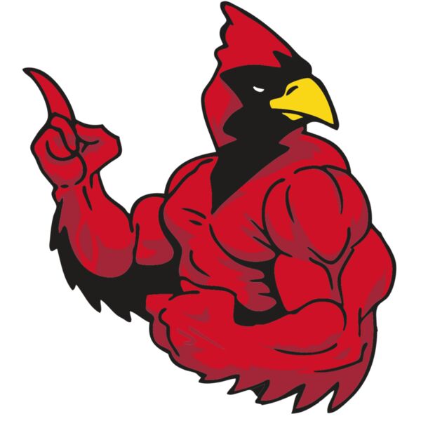 AR CARDINAL 28 RC Vignette