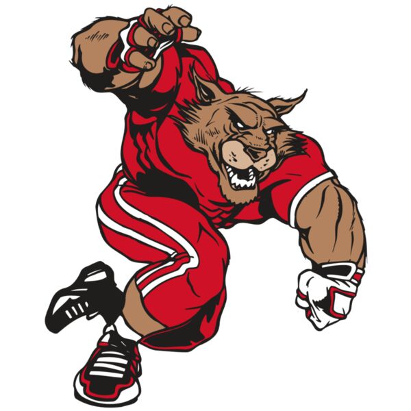 AR WILDCAT 32 RC Vignette