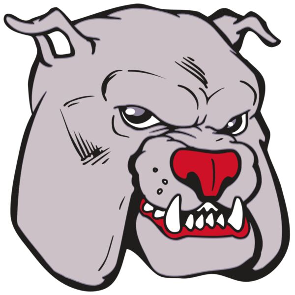 AR BDOG 11 RC Vignette