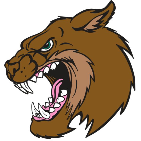 AR5 BOBCAT 18 RQC Vignette