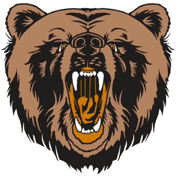 AR31 BEAR 01 RQC Vignette