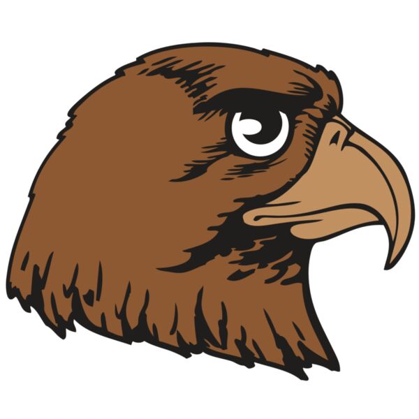 BAW HWK FLCN 05 RC Vignette