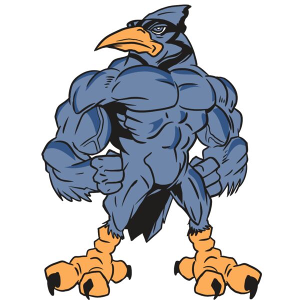 AR13 BLUEJAY 03 RQC Vignette