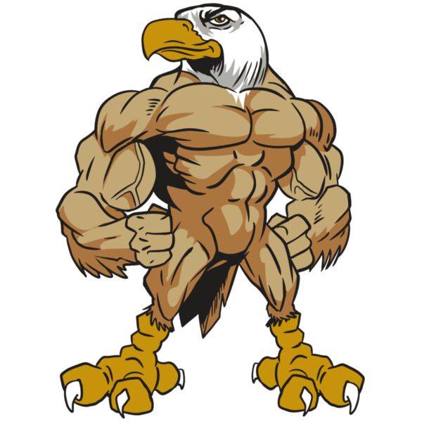 AR13 EAGLE 01 RQC Vignette