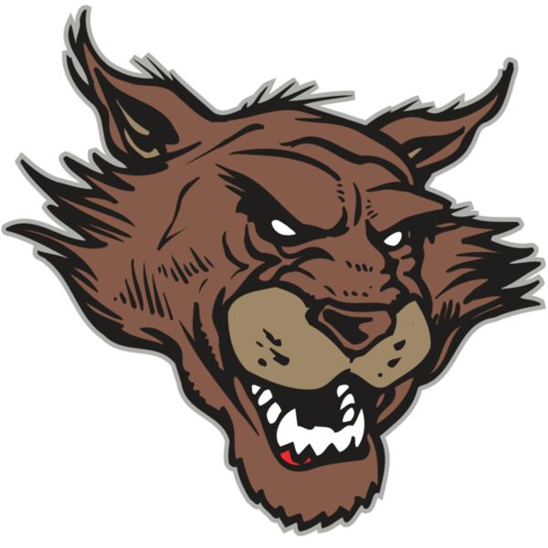 AR WILDCAT 11 RC Vignette