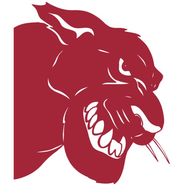 AR5 COUGAR 37 RQC Vignette