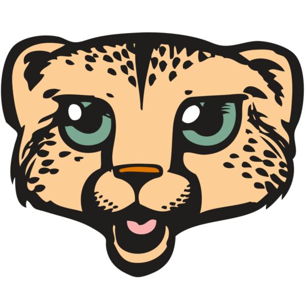 BAW CHEETAH 18 RC Vignette