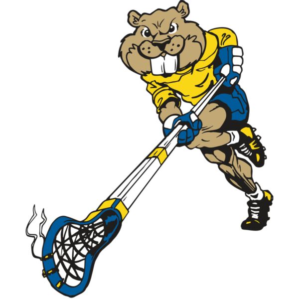 AR8 BEAVER 02 RQC Vignette