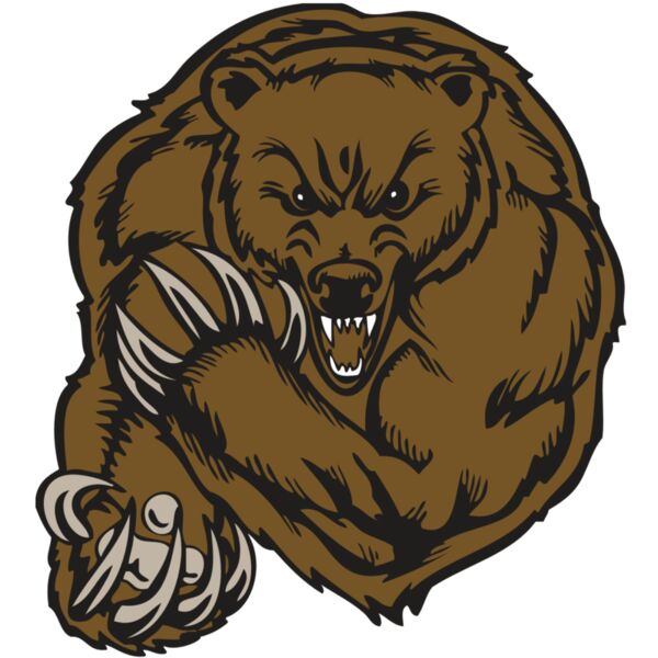 BAW BEAR 07 RC Vignette