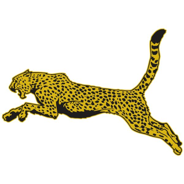 AR CHEETAH 10 RC Vignette