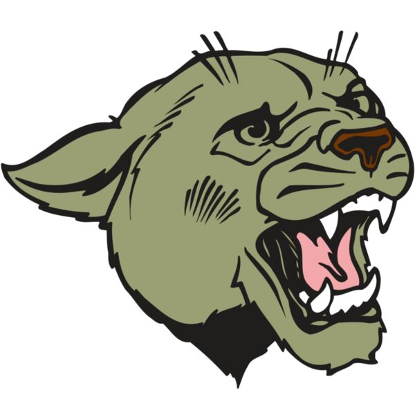 AR COUGAR 40 RC Vignette