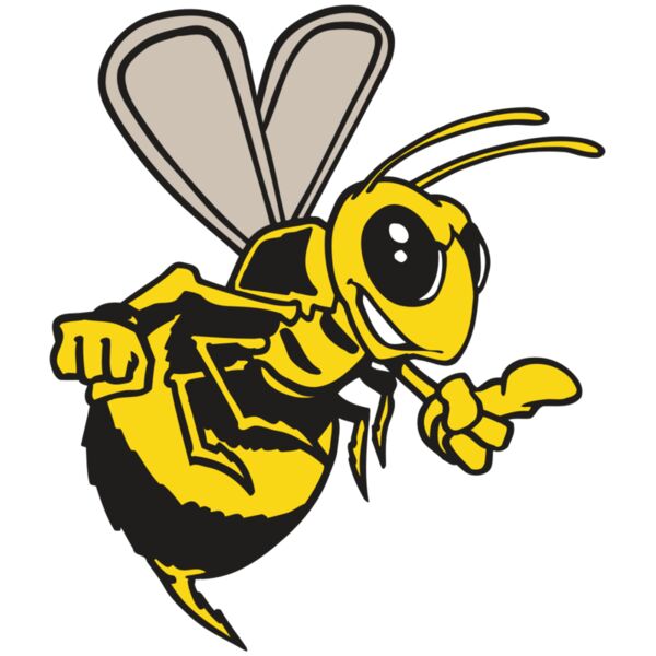 AR BEE 20 RC Vignette