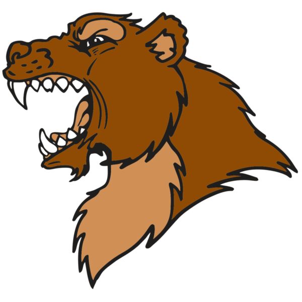 AR BEAR 22 RC Vignette