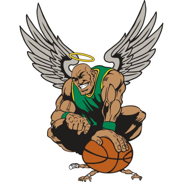 AR17 ANGEL BSKT 03 RQC Vignette