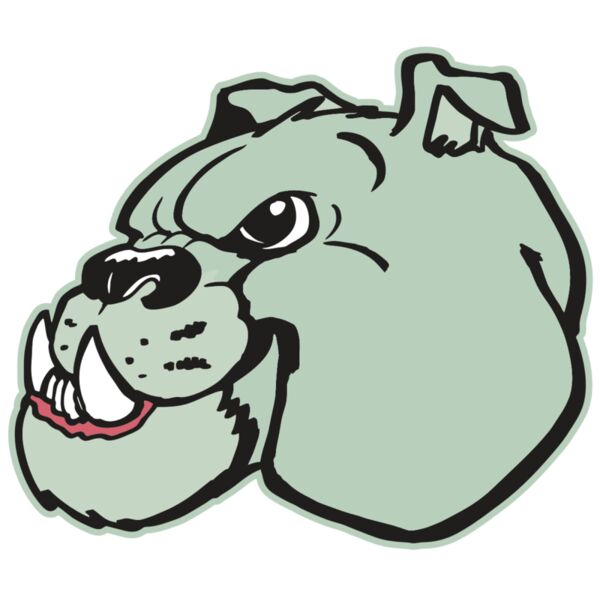 AR BDOG 29 RC Vignette