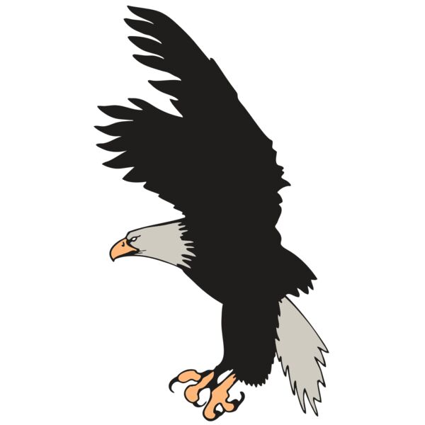 AR EAGLE 91 RC Vignette