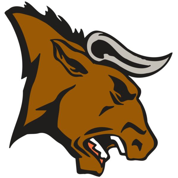 AR BULL 38 RC Vignette