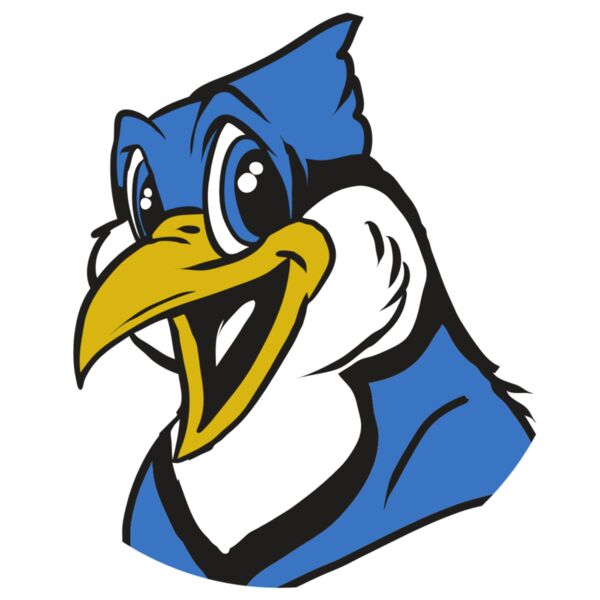 AR31 BLUEJAY 01 RQC Vignette