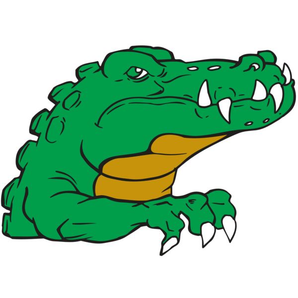 AR GATOR 22 RQC Vignette