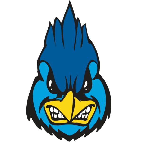 BAW BLUEJAY 02 RC Vignette