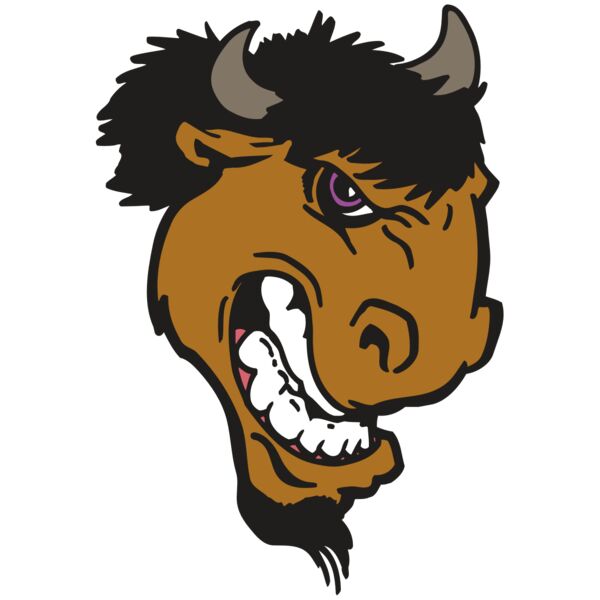 AR BUFFALO 13 RC Vignette