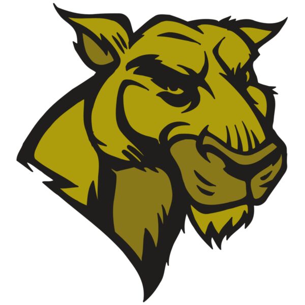 AR5 COUGAR 18 RQC Vignette