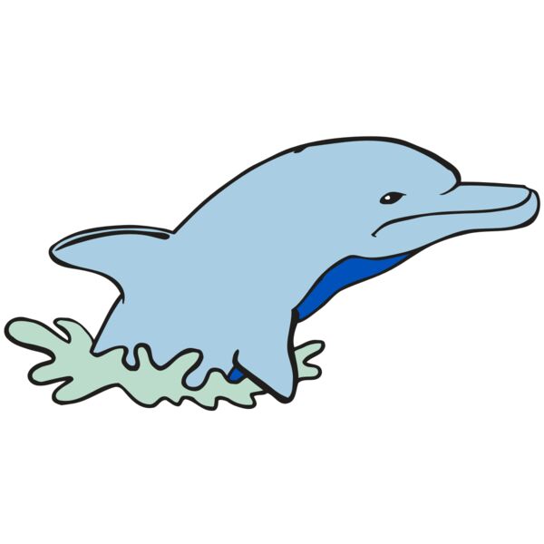 AR DOLPIN 14 RC Vignette