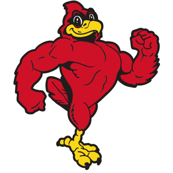 AR CARDINAL 41 RC Vignette