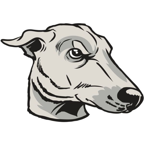 AR22 GREYHOUND 01 RQC Vignette