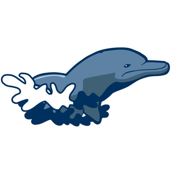 AR DOLPIN 10 RC Vignette